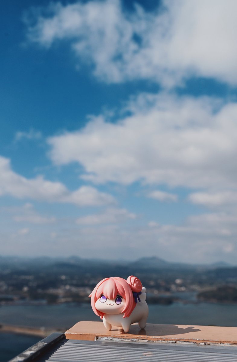 宮崎葉月 tweet media