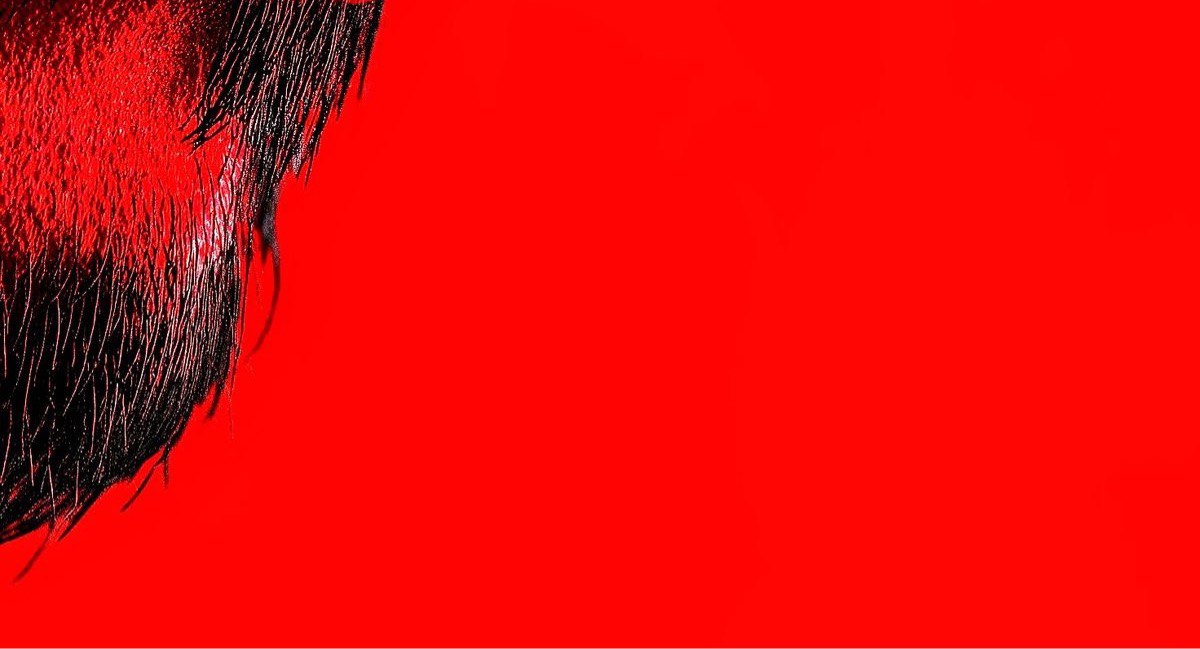 Universal arts & Wallpapers tweet media