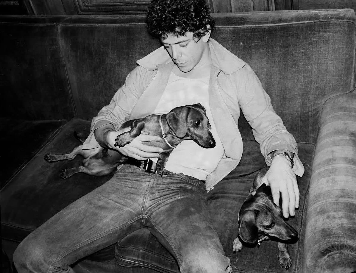 Bill Pourquoimec tweet media