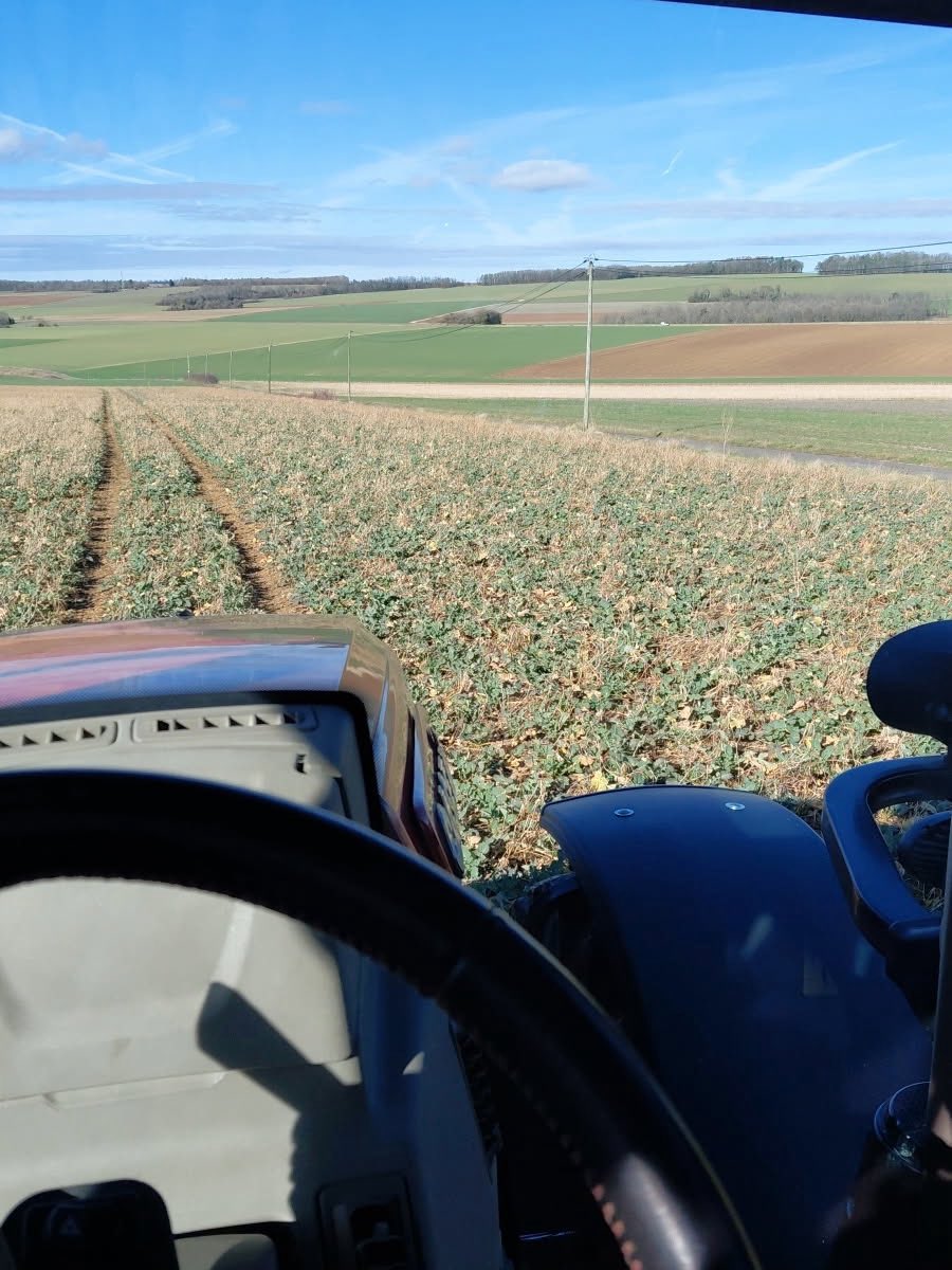 OlivierCOSTE2's tweet photo. Pendant que #VisMaVieDeArc est chez les clients @BONNIN1402.
Elle profite de cette #météo ☀️ ensoleillé et comme les autres #Agricultures sur nos plateaux de Bourgogne,à remplir le #Frigo dans ses #Colzas.
#FrAgTw #VisMaVieChezUnAgriculteur https://t.co/OGP4kDd2Iv