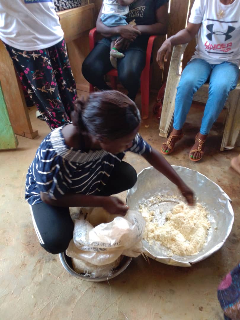 Brainforest Gabon tweet media