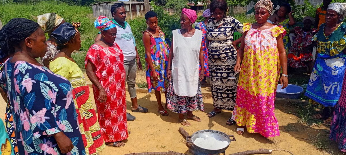 Brainforest Gabon tweet media