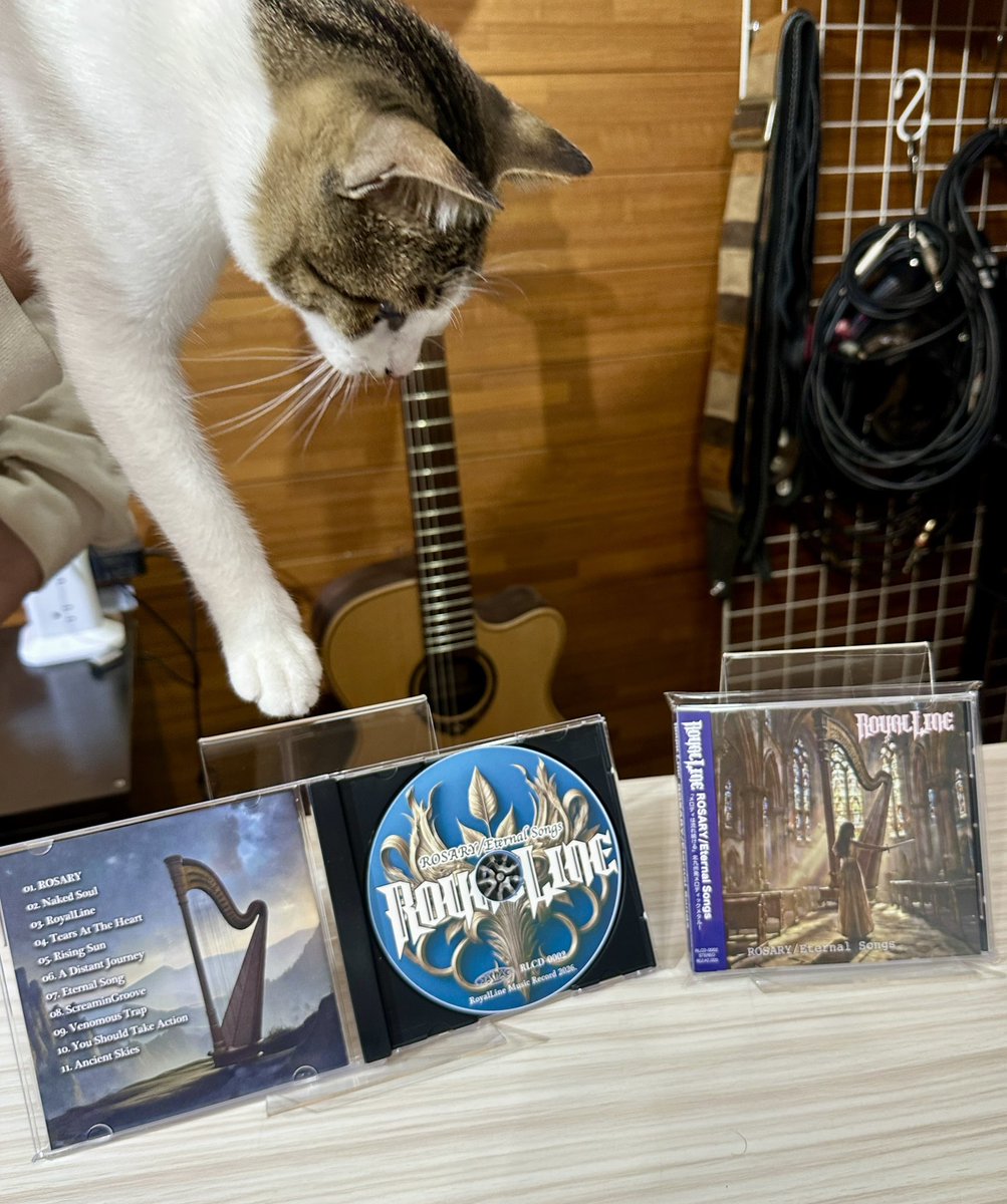 mocca(ともぽん)RoyalLine tweet media