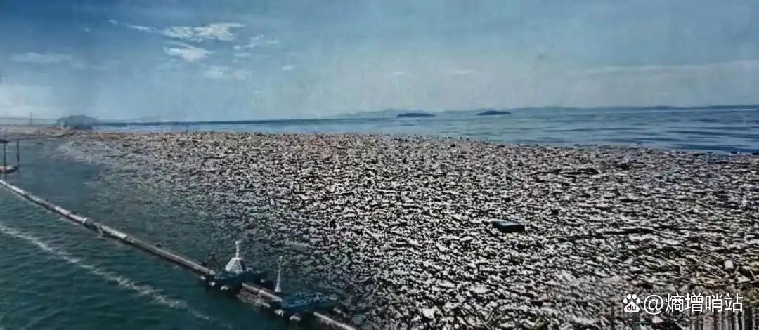 Sean37229648's tweet photo. @LEBcando @elonmusk 3. The third picture: Even more ridiculous, it's just photoshopped! On the left is a trash fence in California, USA, and on the right is a garbage dump in Honduras. They just put the two pictures together to deceive people! https://t.co/uYYJLpI7H6