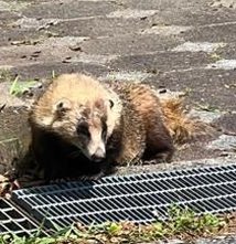 vikrant1234's tweet image. どっちの服かな？ 🏥