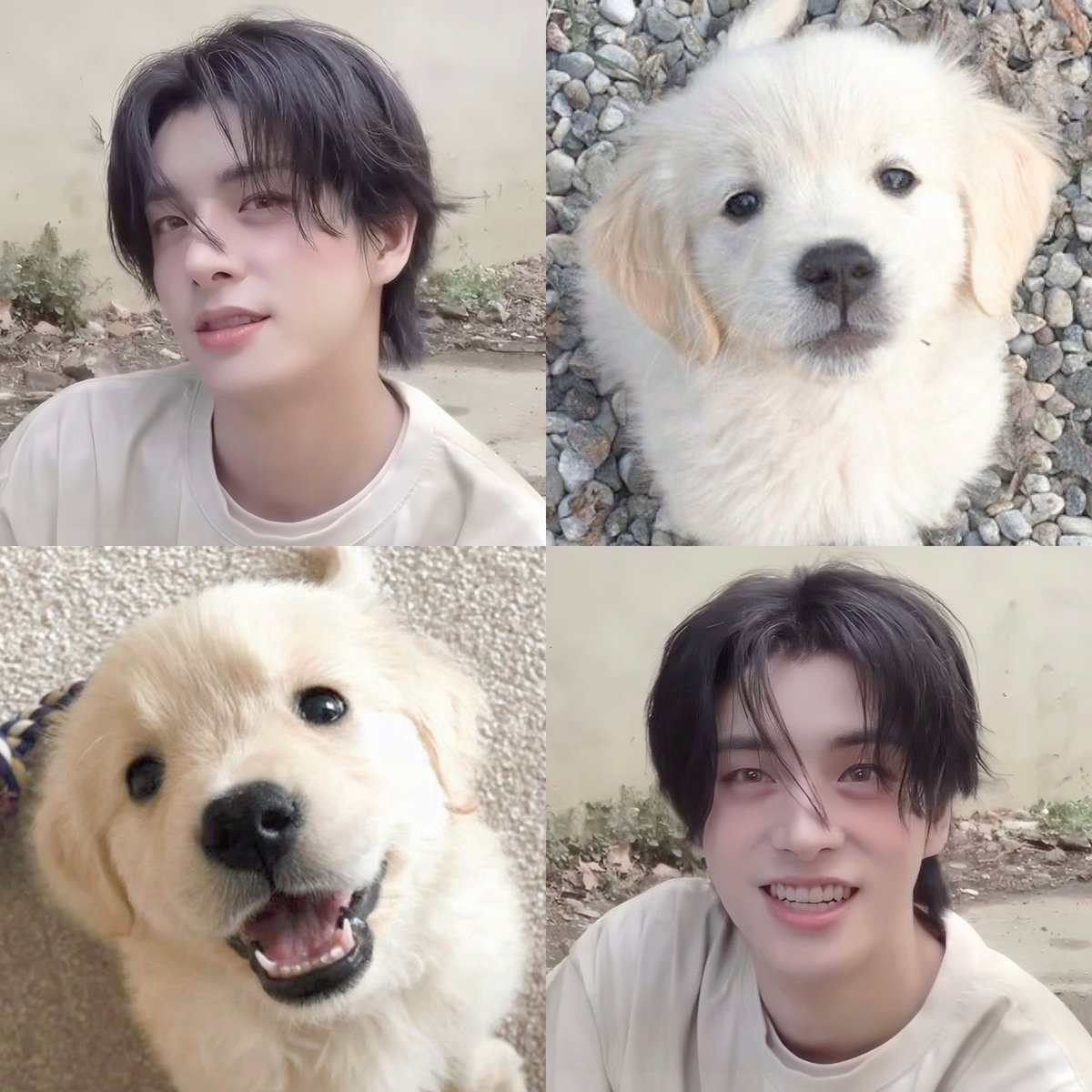 big dog don’t bite 🥺🥺🥺