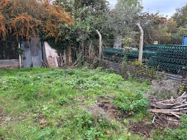 AshtonParkSch's tweet photo. A burst of colour on the Ashton Park School Allotment! Some Year 9's are signed up to the ASDAN gardening short course. Theory based, along with crafts, a garden centre trip & nuturing our allotment. Here are some 'before' and 'after' shots! #spring #firstbloom #WeAreAshtonPark https://t.co/kc9y0I857Z