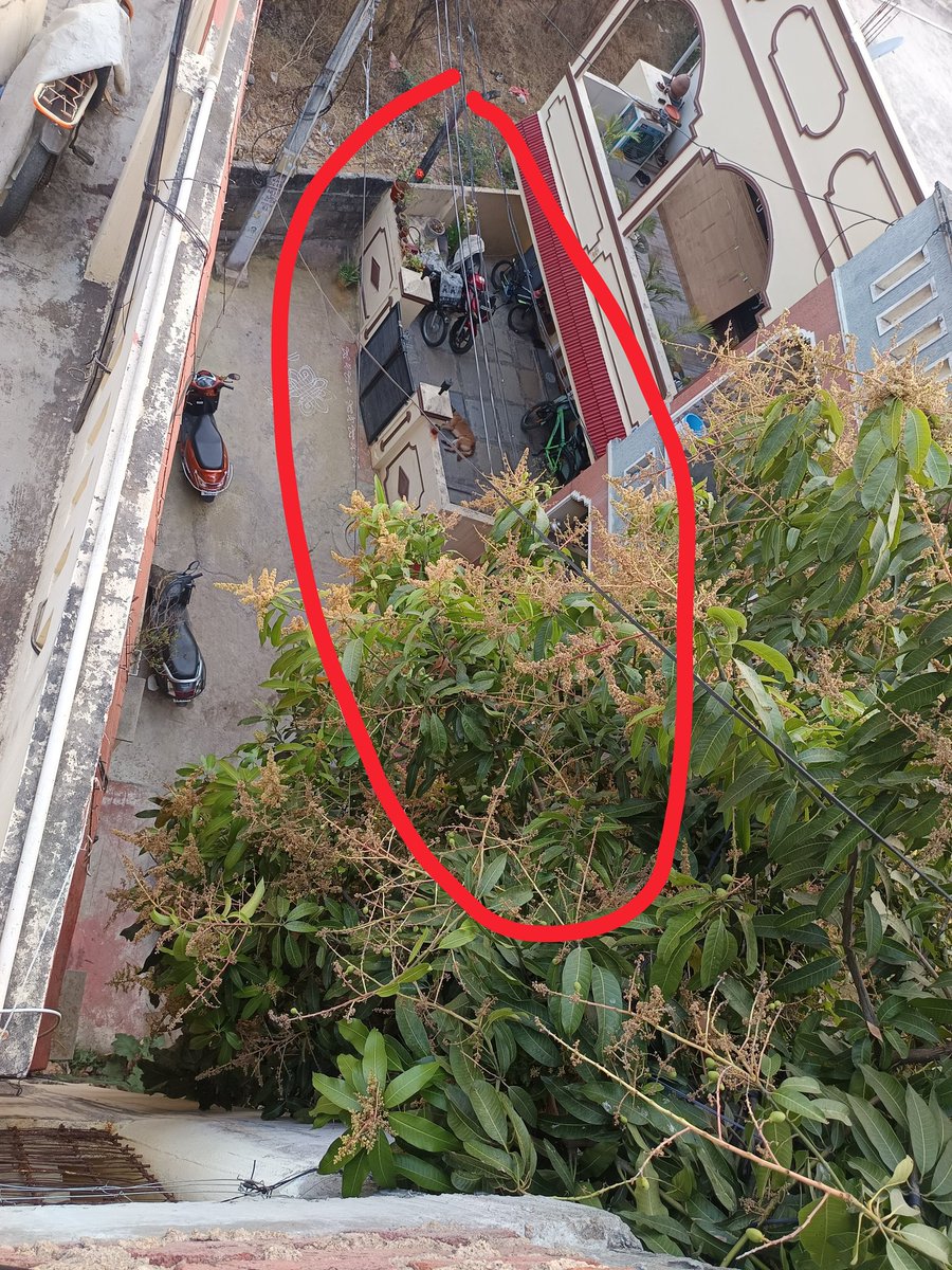 Alihyder tweet media