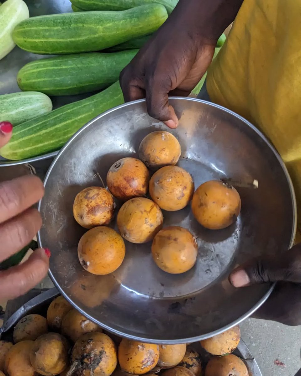 Isoko🇳🇬 tweet media