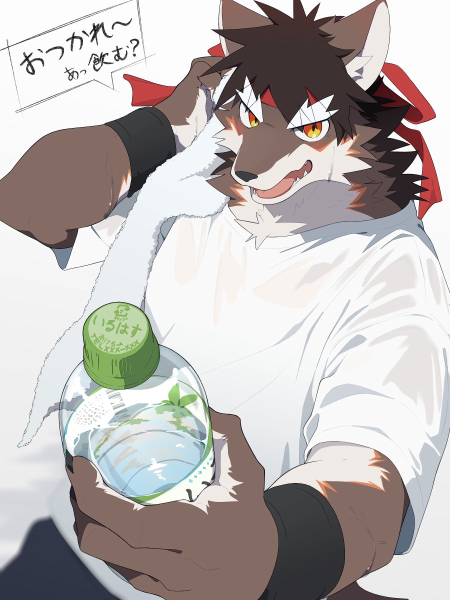 虎之介⇒イベントは暫くお休み (@torano_suke) / Posts / X