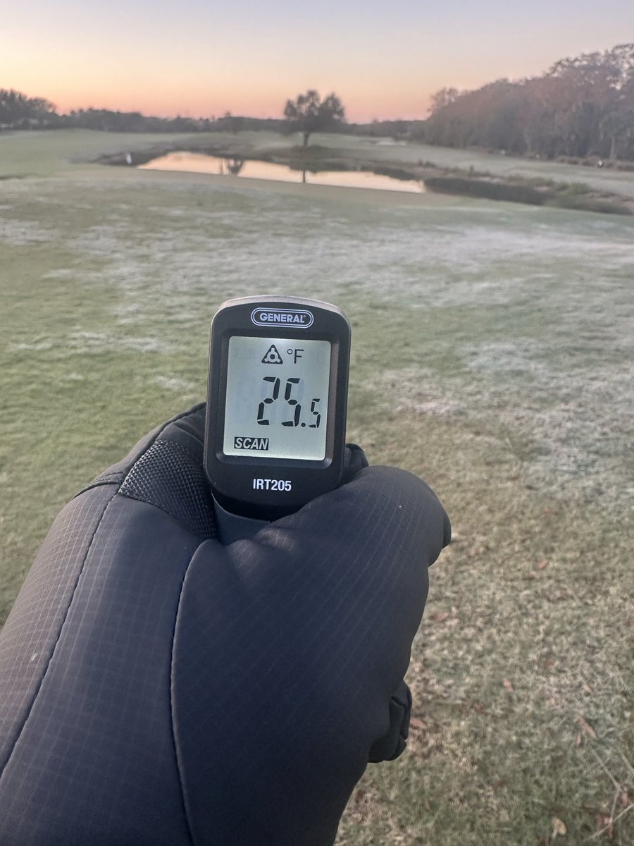 Gabe Gallo tweet media