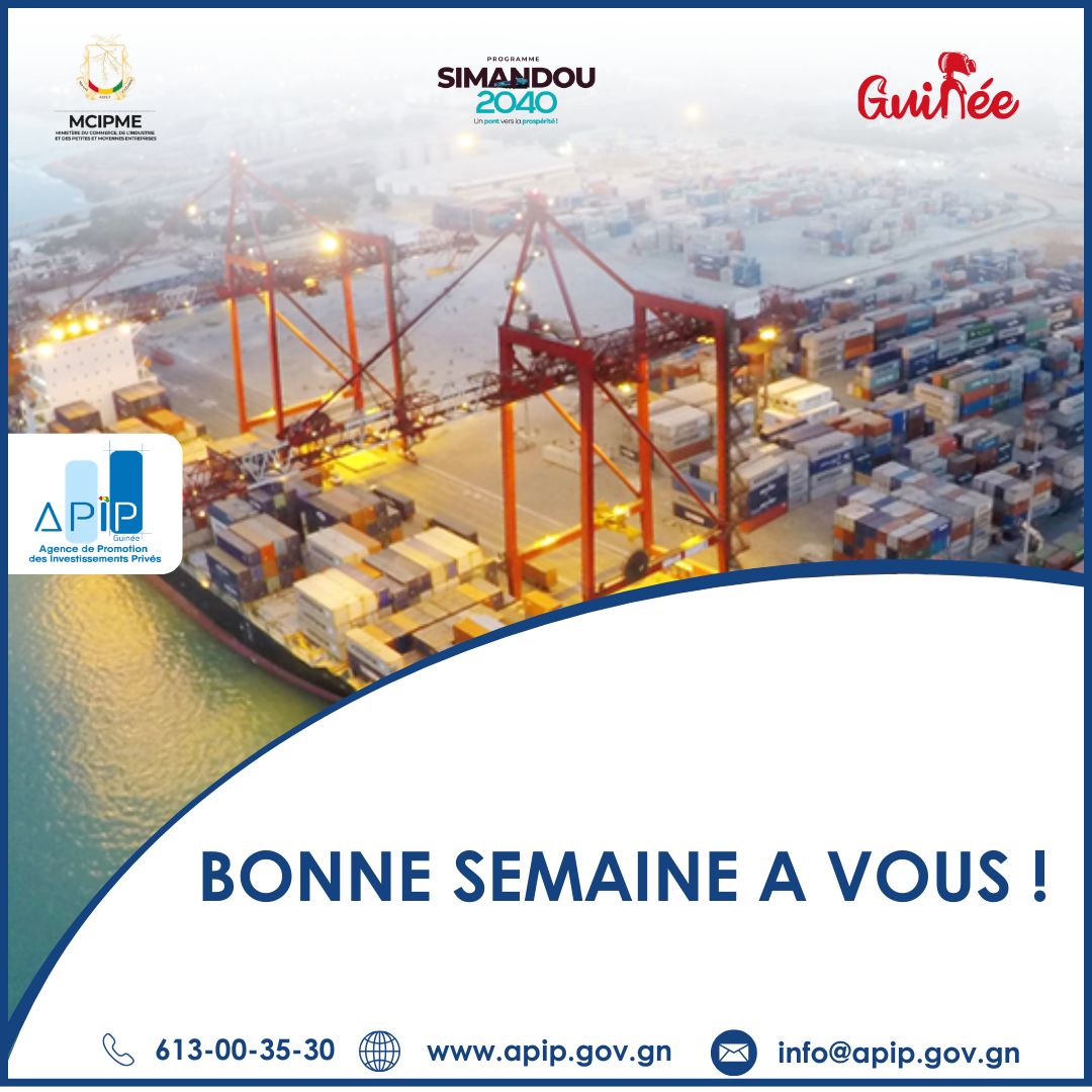 APIP Guinée tweet media