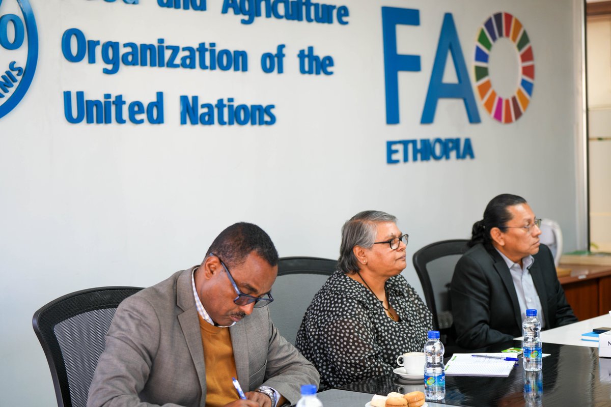 FAO Ethiopia tweet media