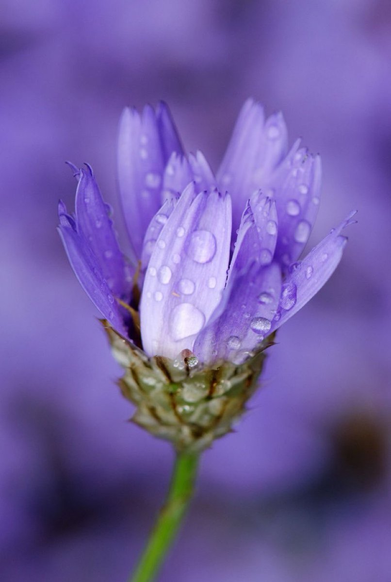 mariadina (@mariadistella) on Twitter photo 