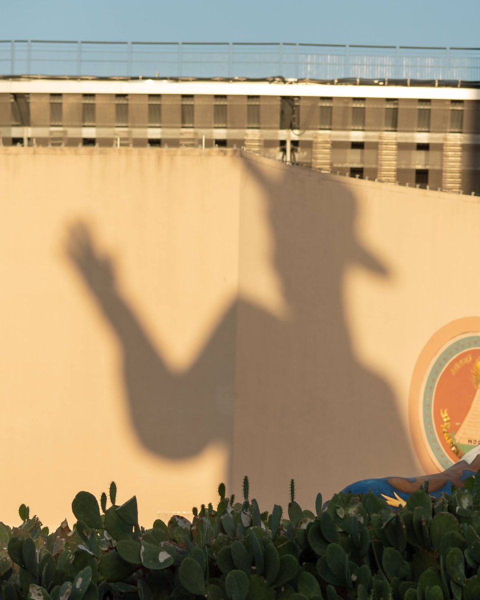 State Fair of Texas tweet media