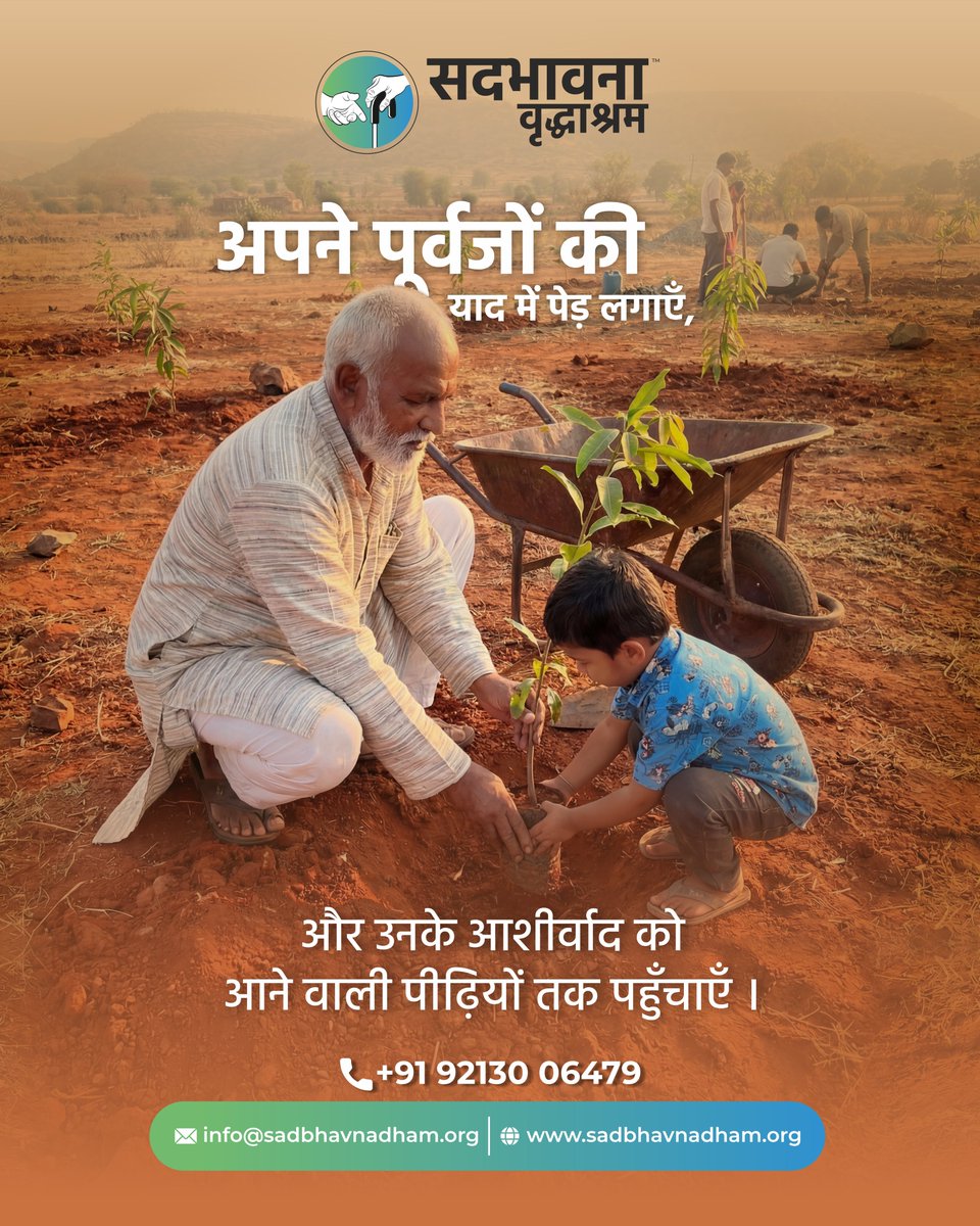 Sadbhavna Tree tweet media