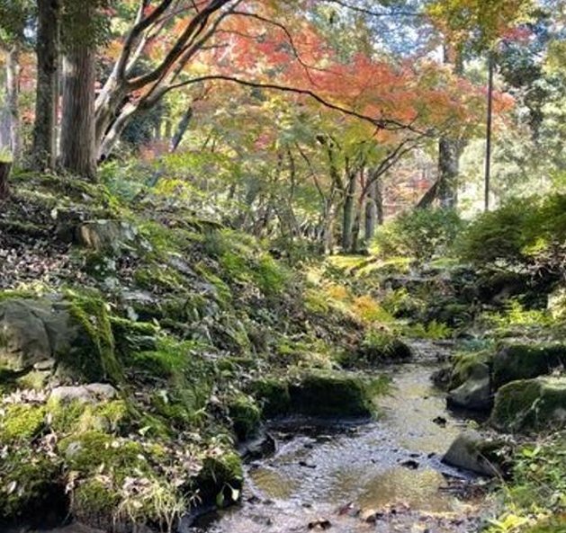 Ne2Sk's tweet image. 誰の宇宙かな？ 🚶