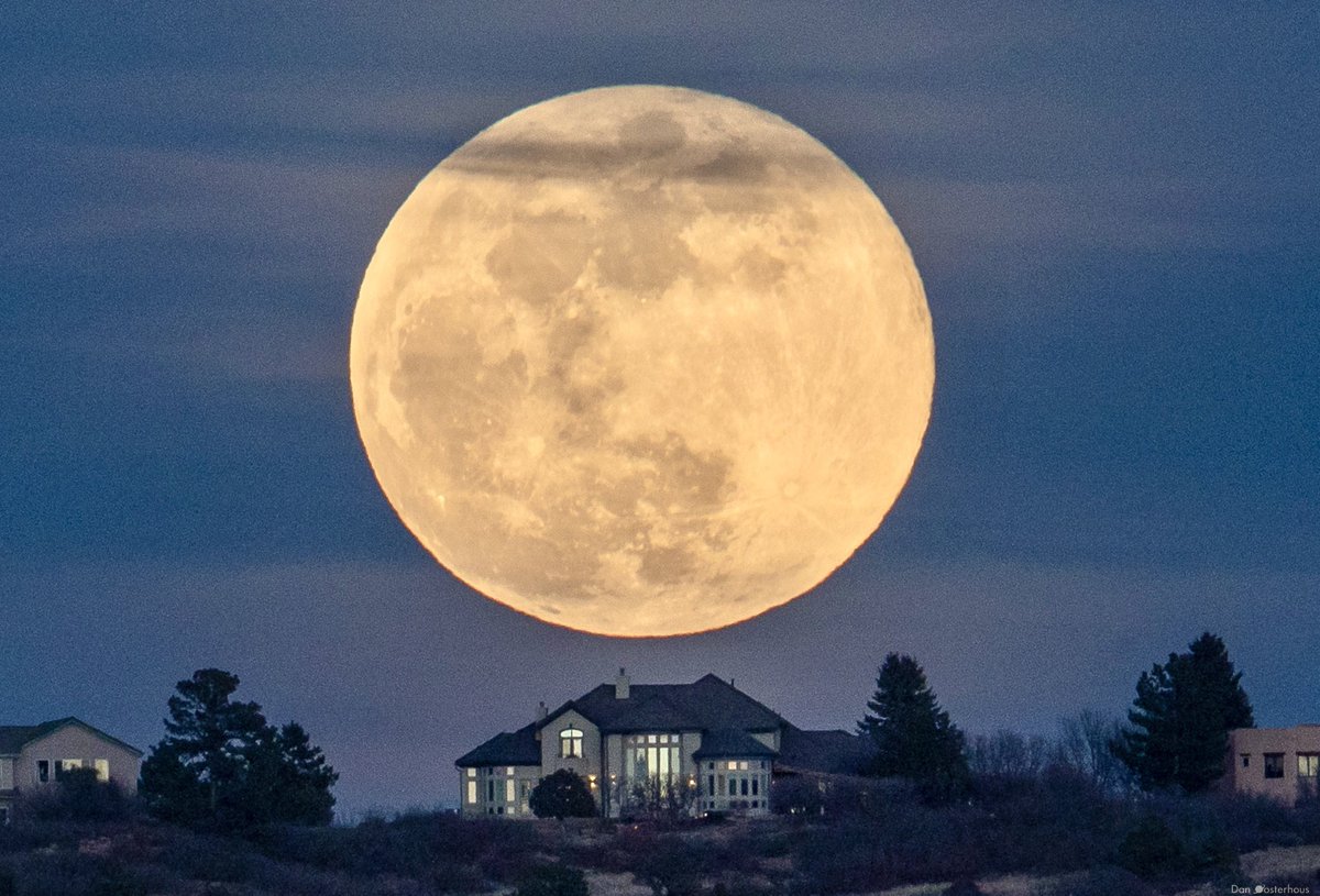 Dan Oosterhous tweet media