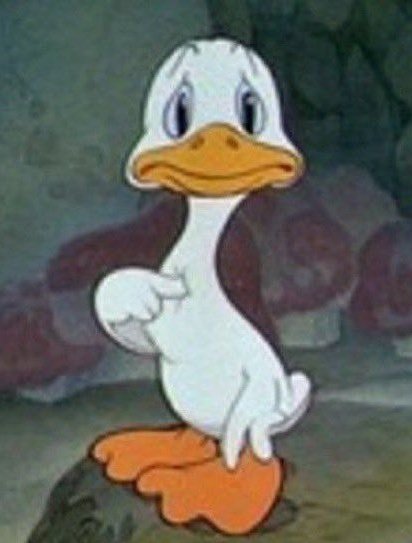 zia 🎀 tweet media