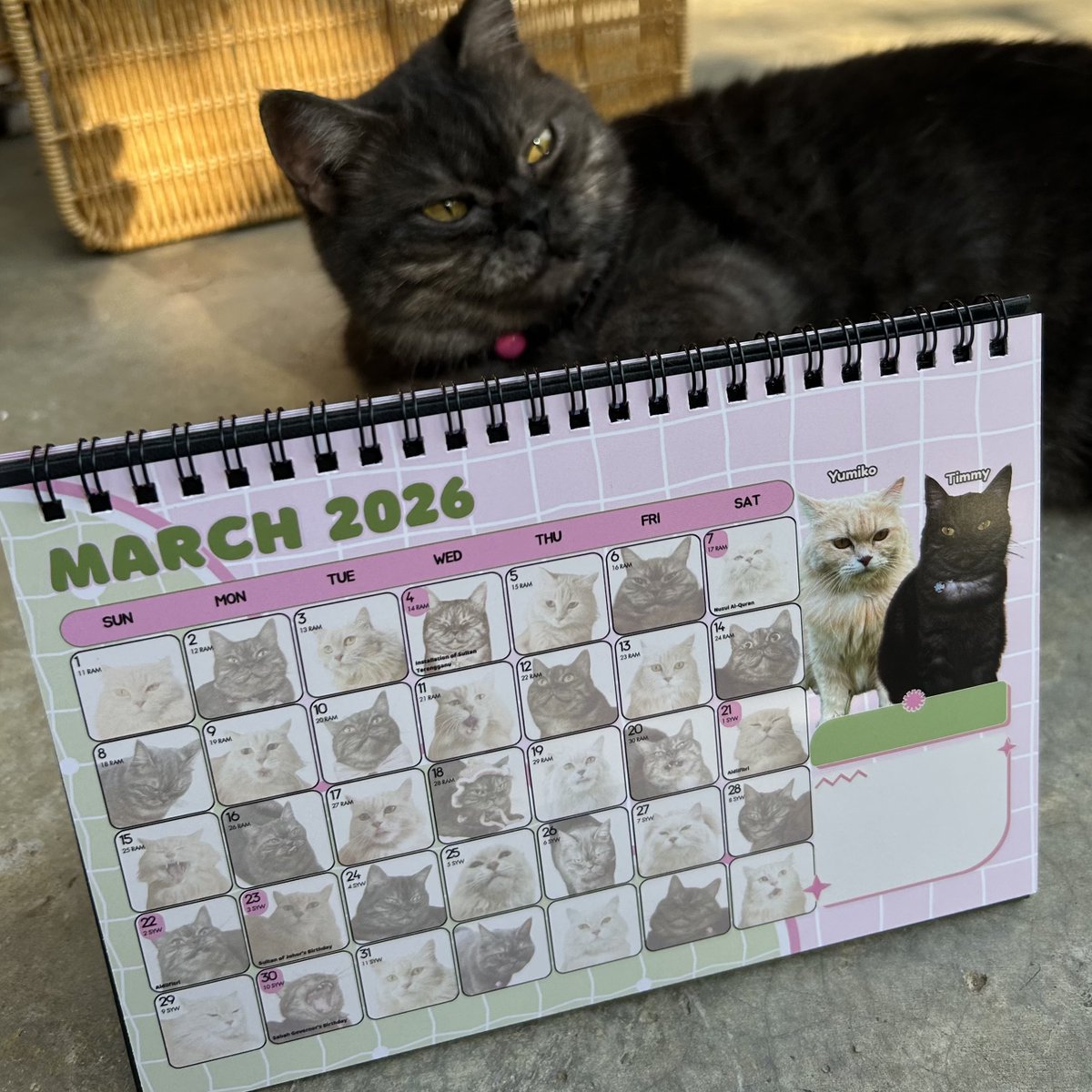 Dah  bulan February tapi kalendar masih ada 190pcs 🥶🥶 korang dah ada kalendar 2026? Kucing saya jual kalendar comel untuk buat rumah dorang hehee. Jemput la beli 

s.shopee.com.my/AKUobmPkDR