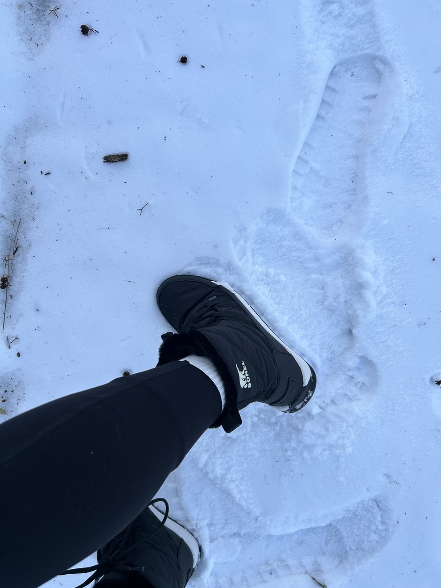 Replanteándome cosas tales como qué estoy haciendo yendo al gym.