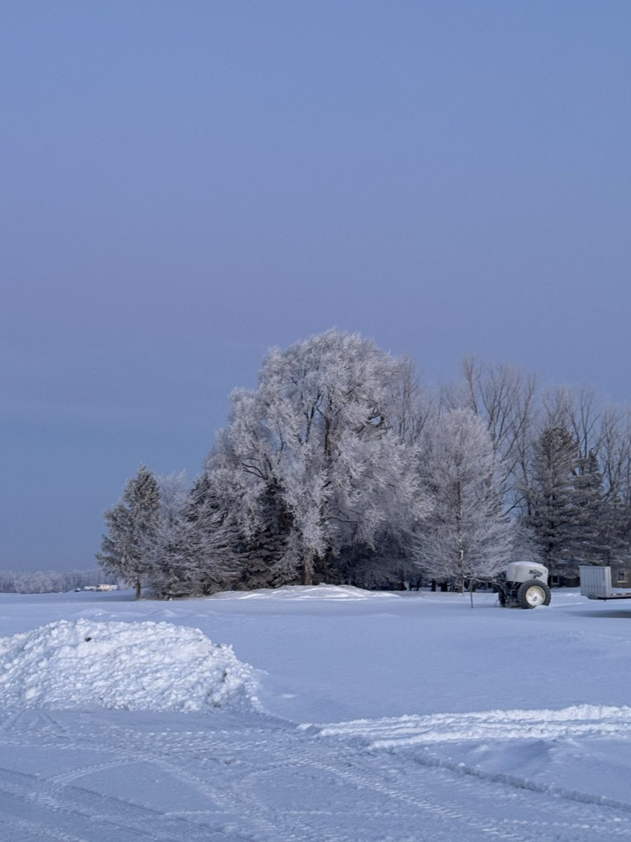 Jon Wilken tweet media