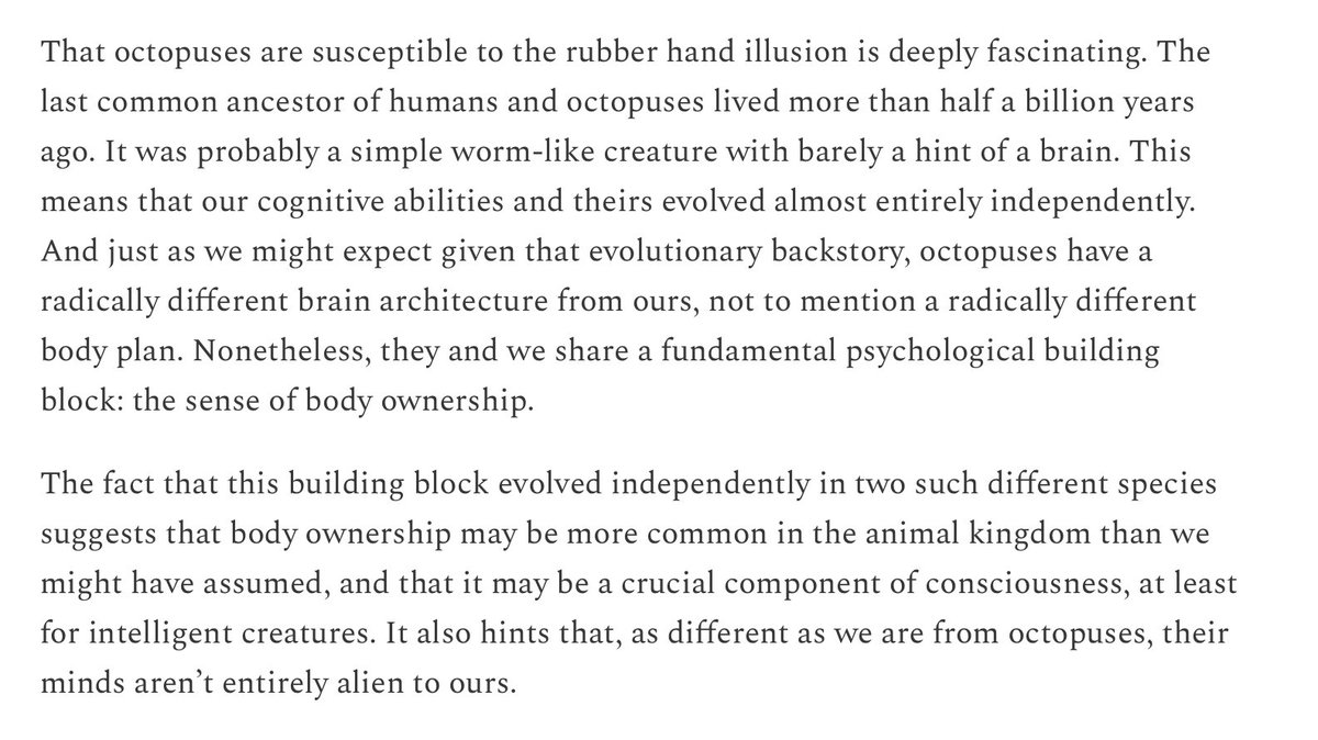 Amazing! Octopuses fall for the rubber hand illusion, a psychological effect previously only documented in humans and a few other mammals. The finding hints at deeper similarities between our minds and theirs, despite half a billion years of separate evolution.

[Link below.]