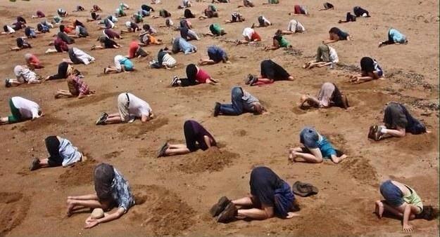 #Epsteindosyaları 
Şu sıralar entelektüeller, aydınlar ve sanat camiamız ;