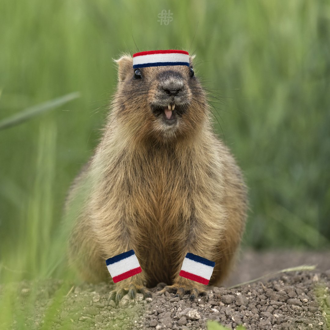 Groundhog Day Public Health Edition 🦫😄

If the groundhog sees his shadow: Six more weeks of winter.
If you see the groundhog up close: That’s a public health concern.

Observe wildlife from a distance—because the only thing we want spreading this season is good health.