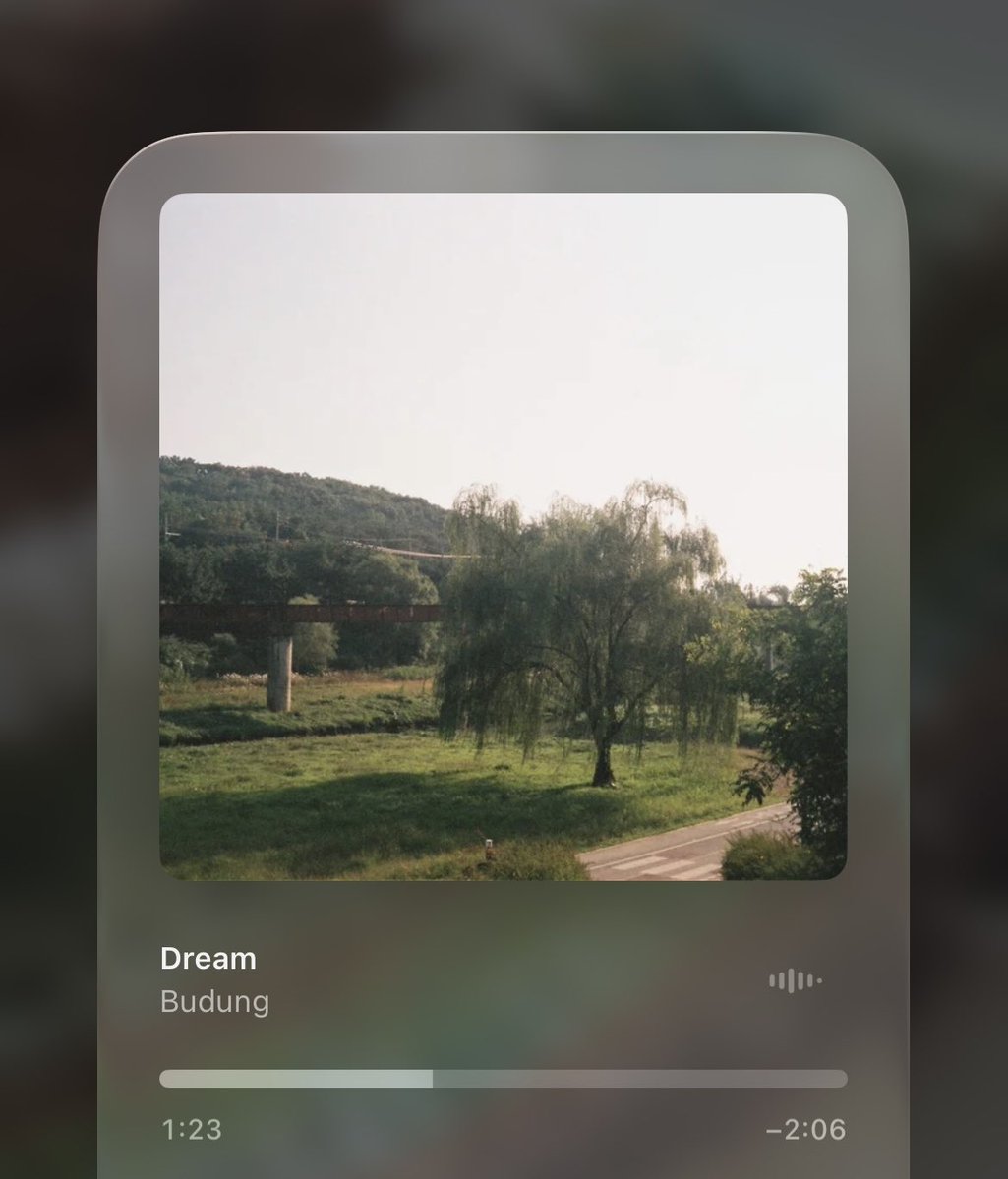 mon13do's tweet image. 🐢🥝🐿️⛰️🍄‍🟫🌳
𖦹      ✲      𖡼        ✼