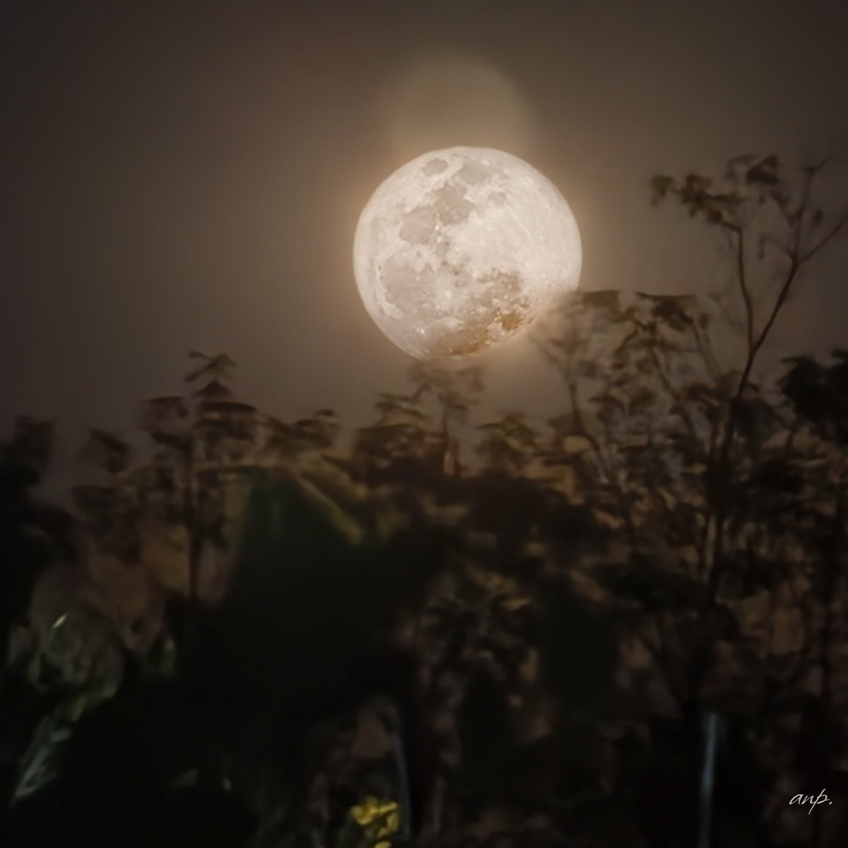 Onn_anp13's tweet image. พระจันทร์วันเพ็ญขึ้น 15 ค่ำ เดือน 3 สวยดีนะ