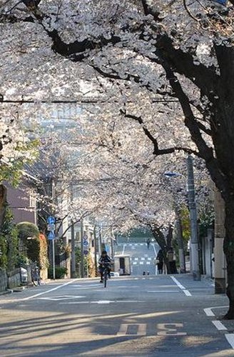 MichaelMinson's tweet photo. 人である 🦀 https://t.co/eNtF2PTKQS
