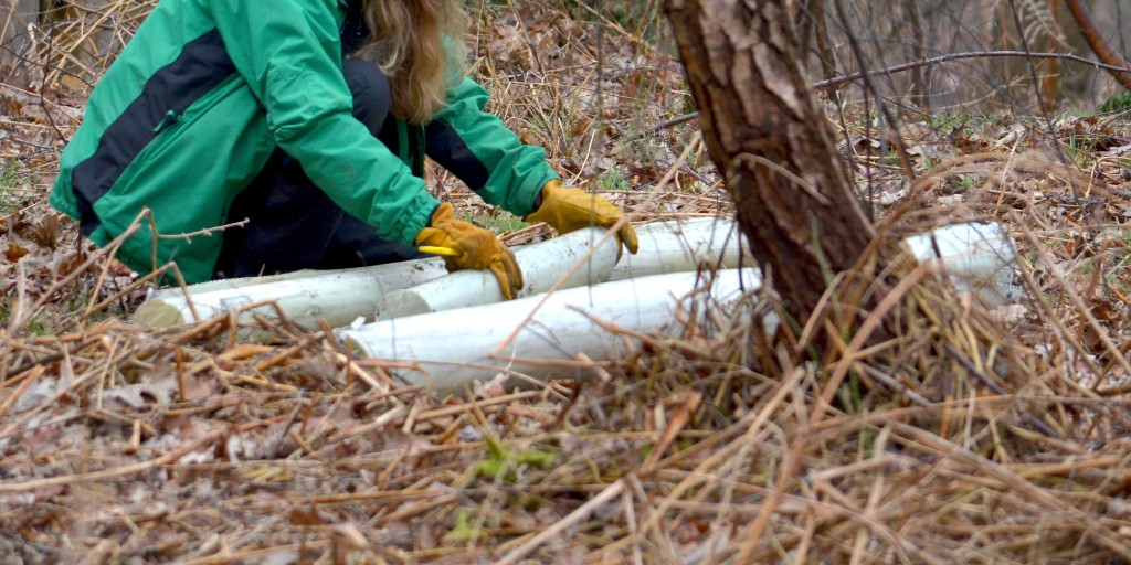 ForestryComm's tweet photo. Applications for the Professional Forester Apprenticeship are now open!

This is a three-year, paid opportunity which we're proud to deliver with @TheICF &amp; @CumbriaUni. 

Applications close at 11.55pm on Sunday 1 March 2026: https://t.co/jIxvwFn3ZK

#ForestryCareers https://t.co/iCSskpanN5