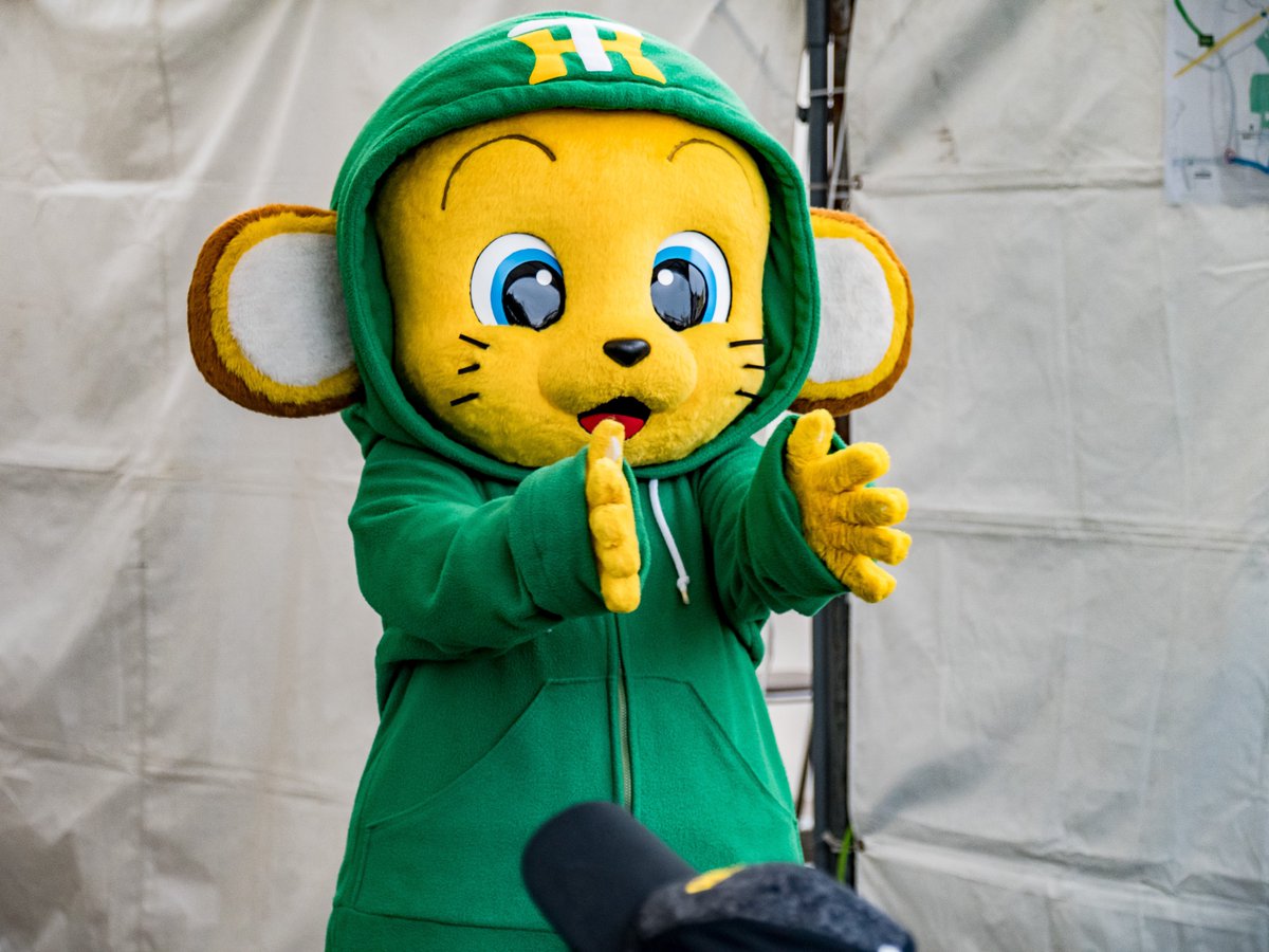 阪神タイガース キー太 緑パーカー 2011年 ぬいぐるみ　ゴーヤ　キータ 阪神タイガース キー太 緑パーカー 2011年 ぬいぐるみ ゴーヤ キータ