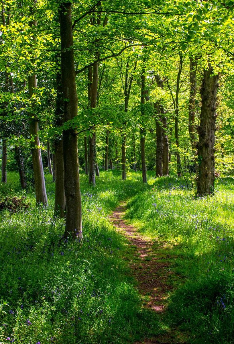 molodo73's tweet image. 朝仕事をする 😩