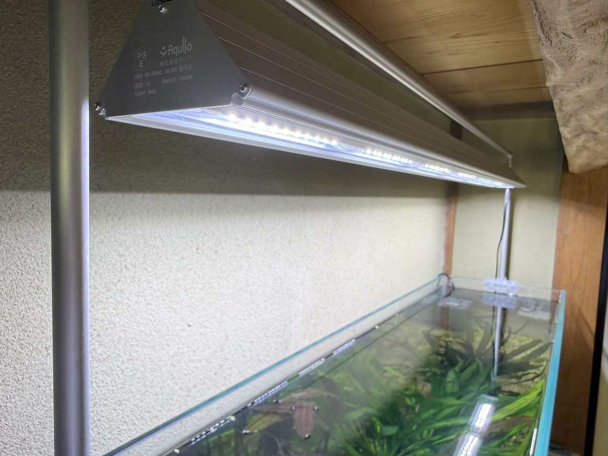 豊津商店【YouTube】 tweet media