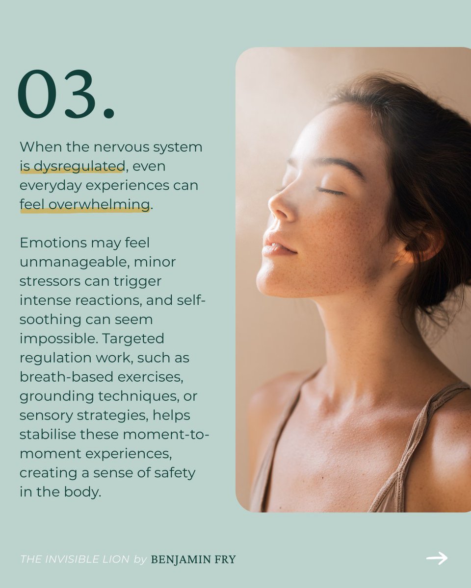 benjaminfry's tweet photo. Many mental health challenges are rooted in a nervous system shaped by stress, threat, and adaptation. The Invisible Lion offers a clear, compassionate framework for understanding nervous system regulation alongside practical, accessible strategies. 

🔗 https://t.co/0kmOjIyYC5 https://t.co/4jw8Kmc7ZU