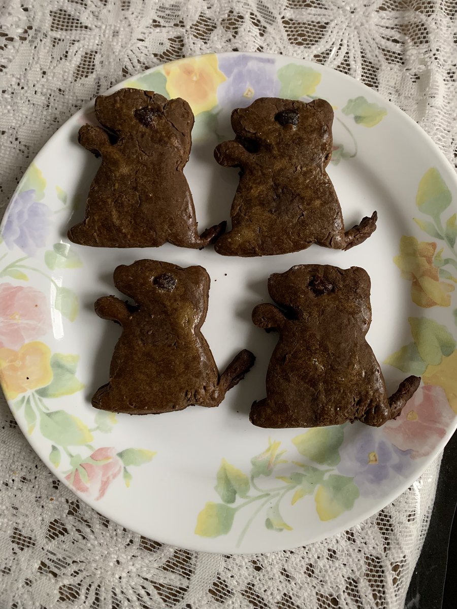 I baked groundhog cookies to celebrate the ocassion even though Punxsutawney Phil has predicted six more weeks of winter! #GroundhogDay #cookies #PunxsutawneyPhil #weather
