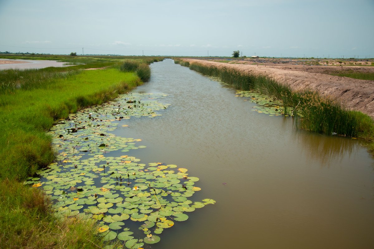 Youth in Natural Resources and Envi'tal Governance tweet media