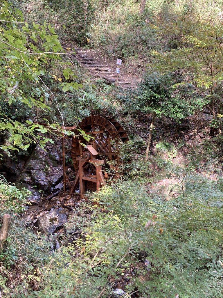 ゆきしーど tweet media