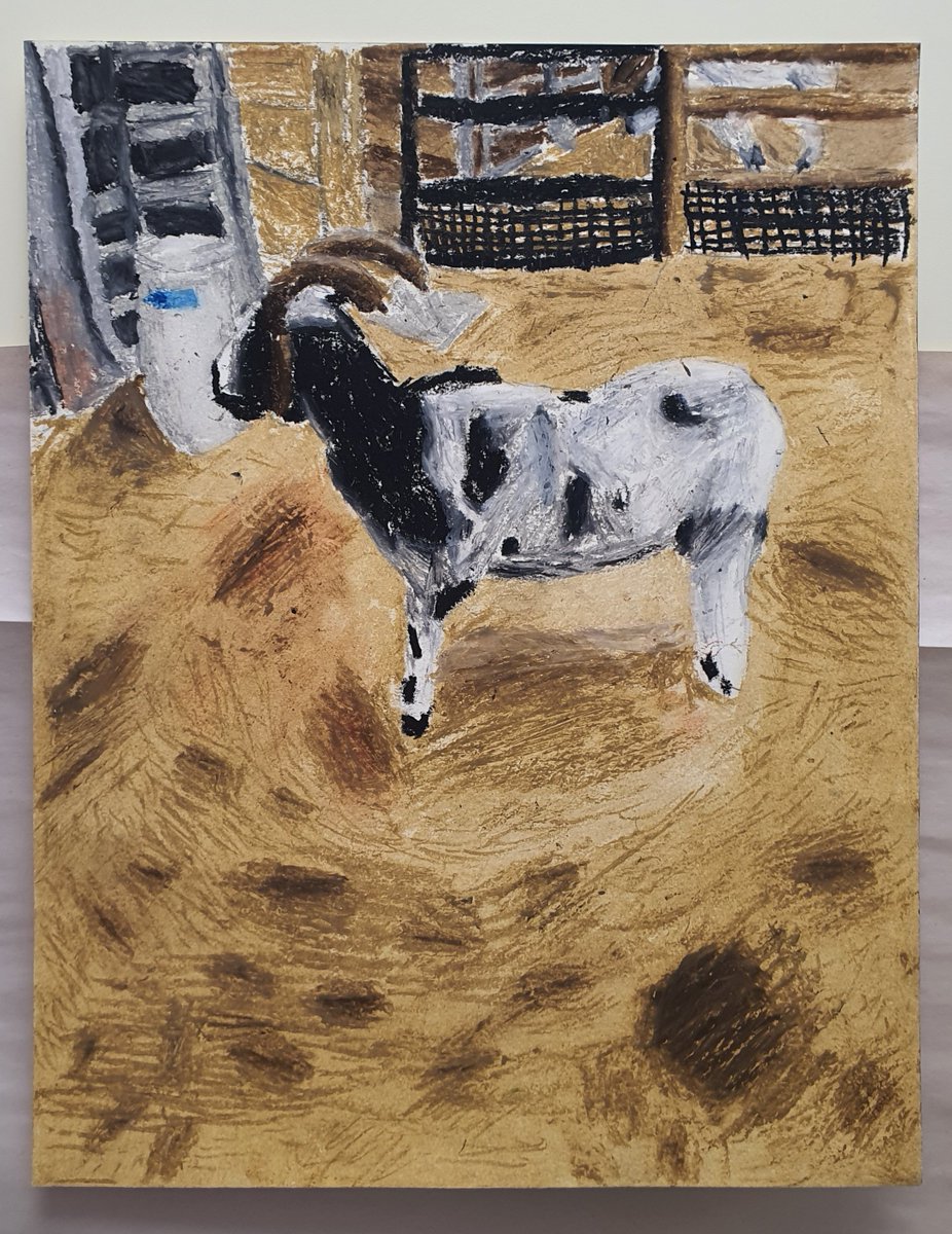 Aldine Young Women's Leadership Academy at Parker tweet media