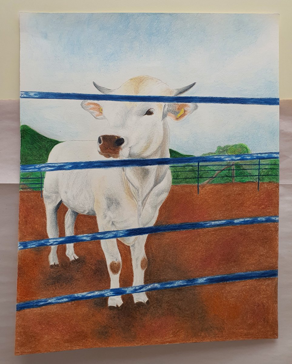 Aldine Young Women's Leadership Academy at Parker tweet media