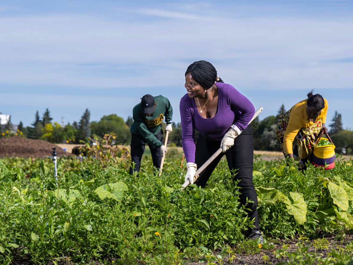 Canadian Social Prescribing Student Collective tweet media
