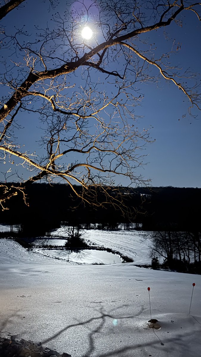 TheUberGuy tweet media