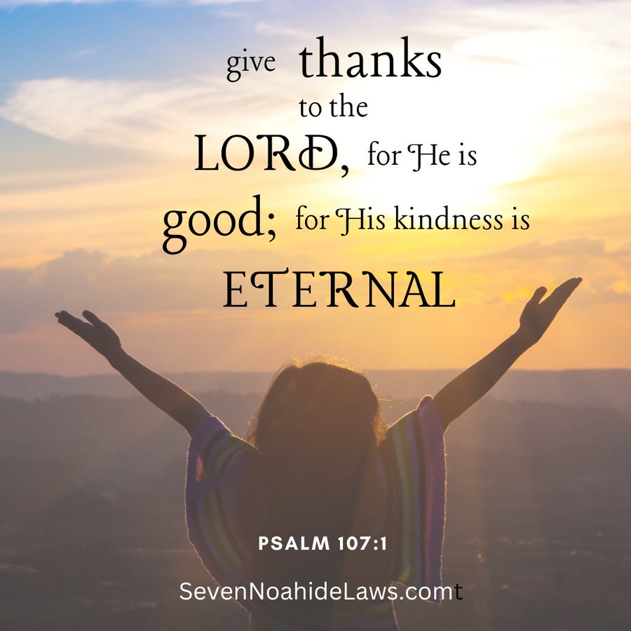 7noahidelaws's tweet image. Give Thanks to The Lord🕯️☮️🙏