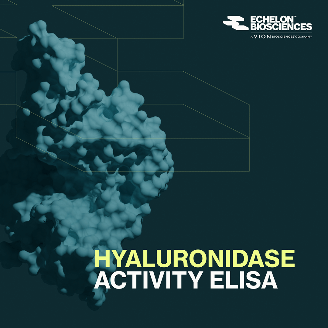 Echelon_Bio's tweet photo. Reliable data starts with the right assay.🎯

@Echelon_Bio's K-6000 Hyaluronidase Activity ELISA is one of our most widely used assays, trusted for consistent performance across complex biological samples.

🔗 More: https://t.co/KUT6nLibgy

#HyaluronicAcid #ELISA #Hyaluronidase https://t.co/NZaI1wpCe8
