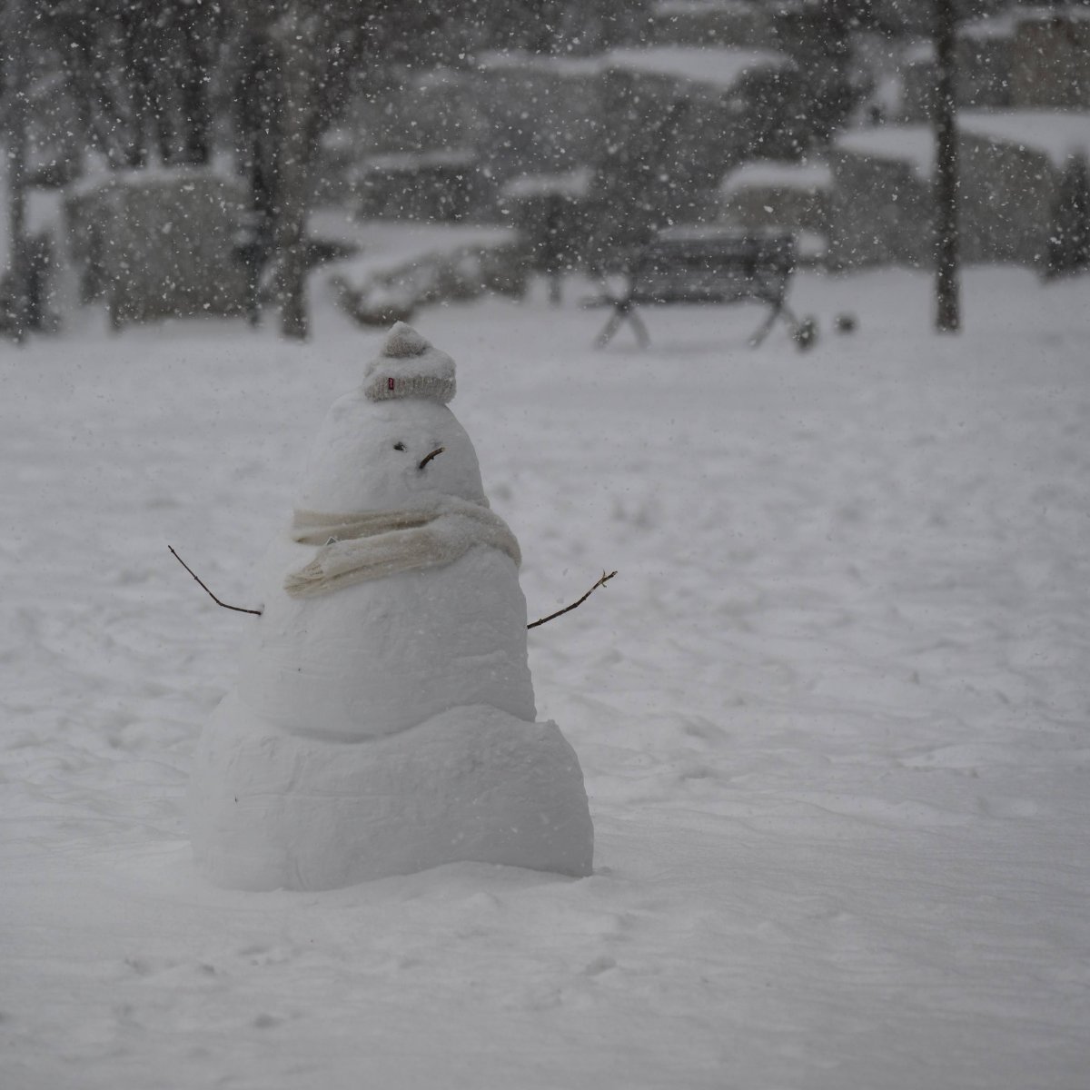 City of Charlotte tweet media