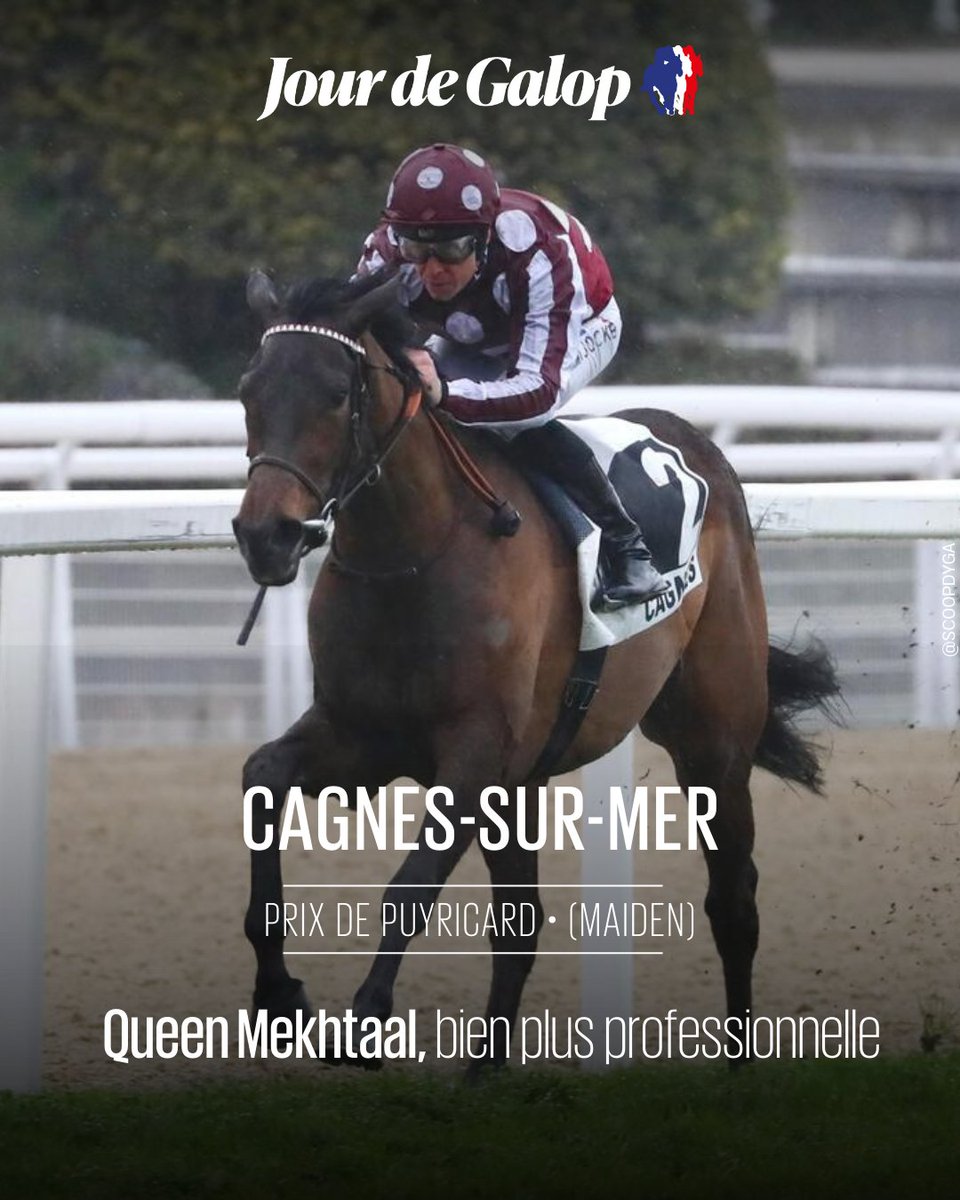 Jour de Galop tweet media