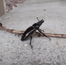 KShakebreakk's tweet image. ホテルで読書 😯