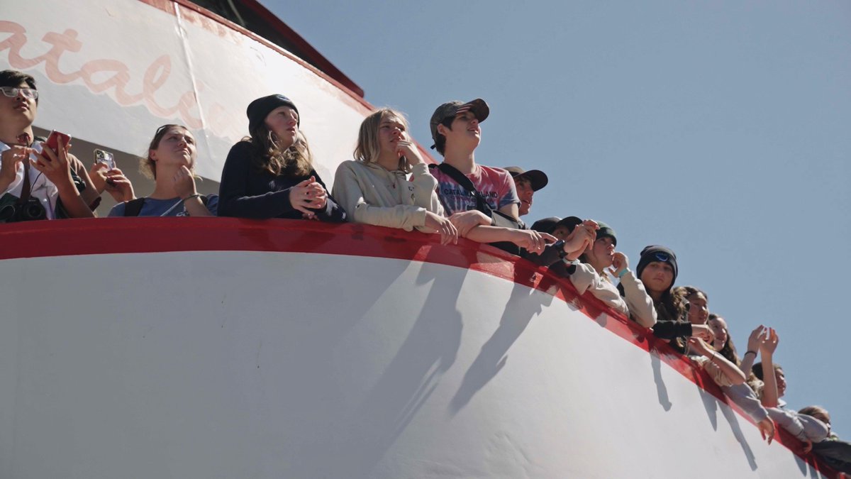 Catalina Island Marine Institute tweet media